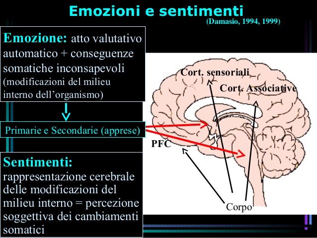 neurobiologia-delle-emozioni-48-638