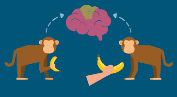 neuroni-specchio-motor-imagery